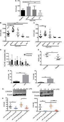 2-Hydroxyglutarate Metabolism Is Altered in an in vivo Model of LPS Induced Endotoxemia